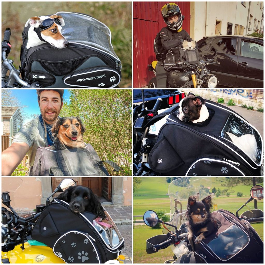 À propos de Bagster